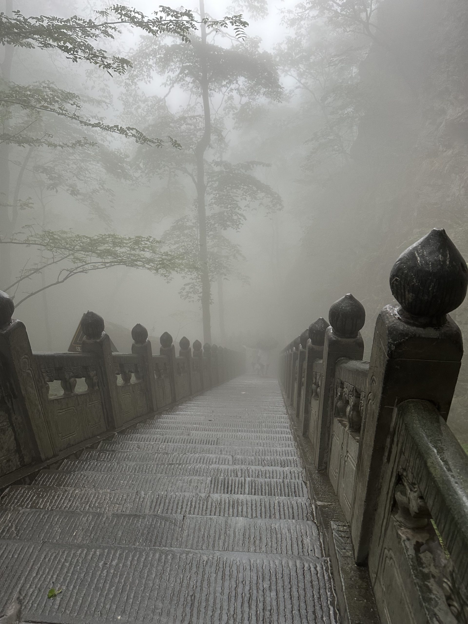 Stone stairs and carved railings descending into a misty forest
